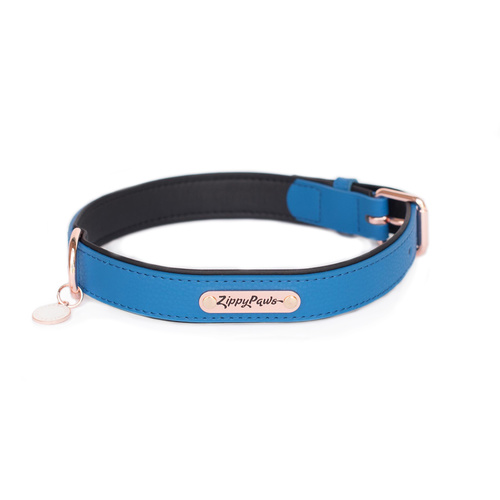 Zippy Paws Leather Dog Collar with Rose Gold Buckle - Cobalt - X-Large