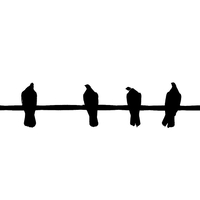 For Birds