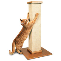 Cat Scratch