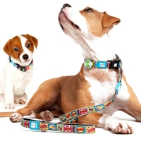 Collars & Leads