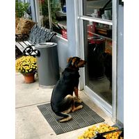Pet Doors