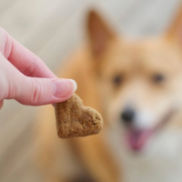Treats